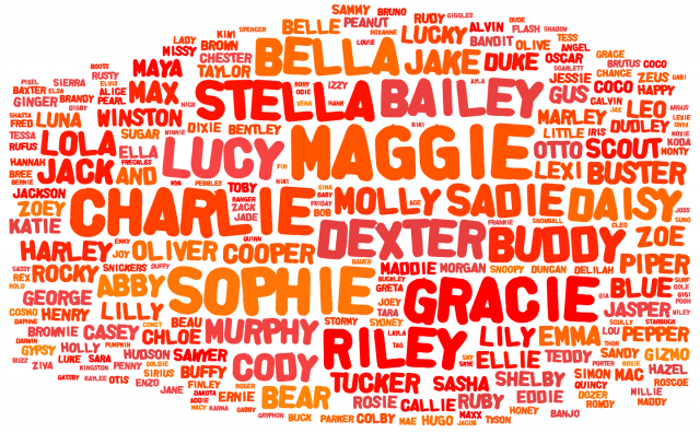 dognition beta dog name wordcloud