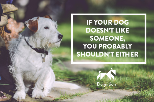 White Terrier Dognition logo
