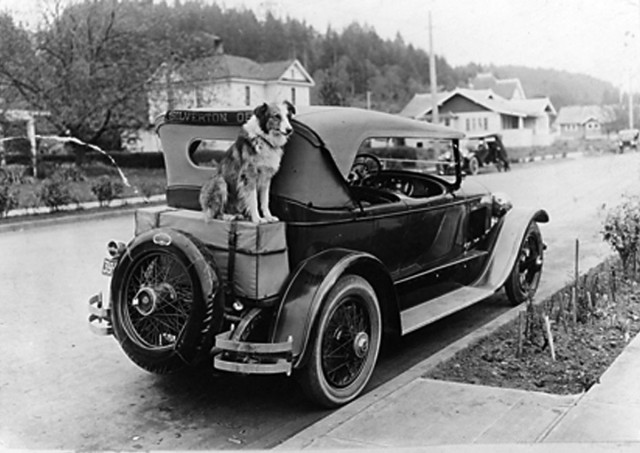 bobbie-car-1200