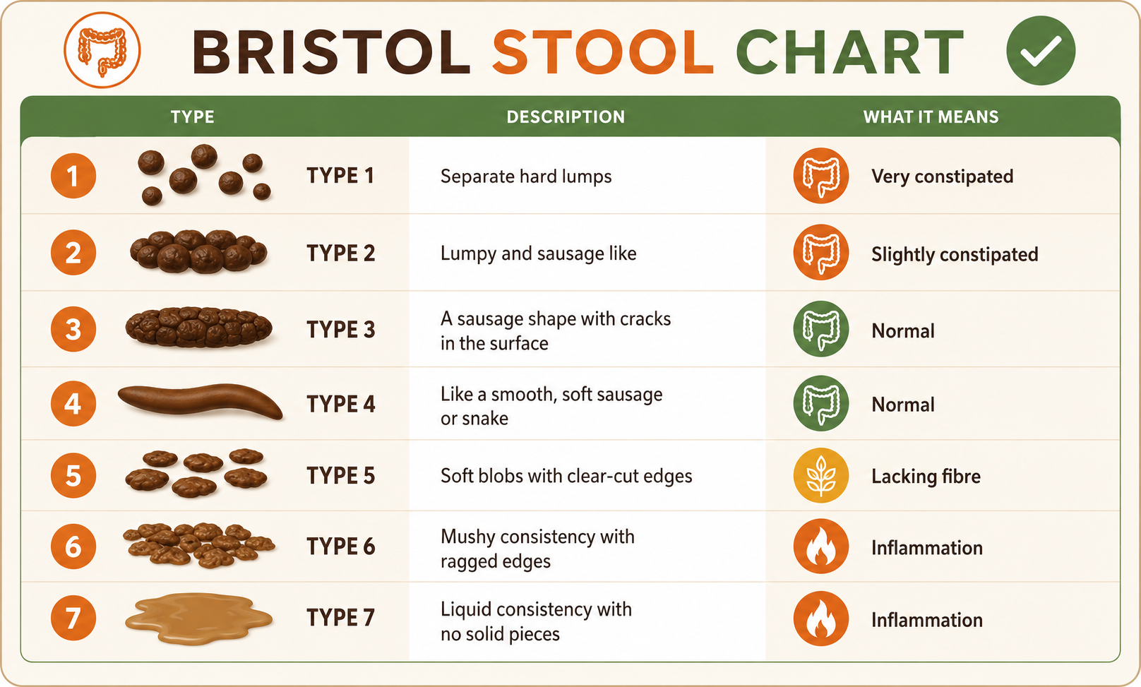 Bristol Stool Chart showing seven stool types from Type 1 (very constipated) through Type 4 (normal) to Type 7 (inflammation).