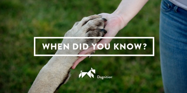 when_did_you_know