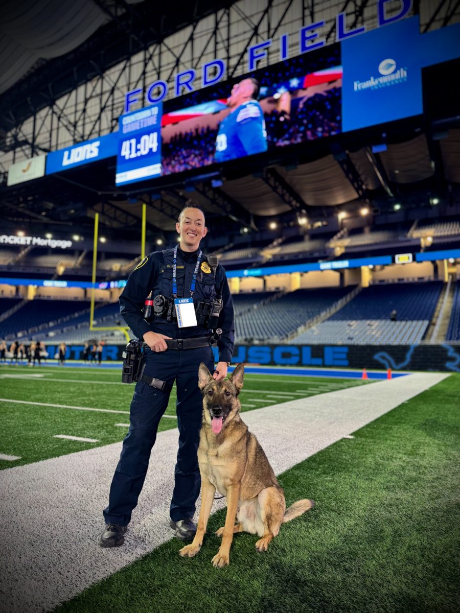 Krill, a German Shepherd, submitted by Chantelle