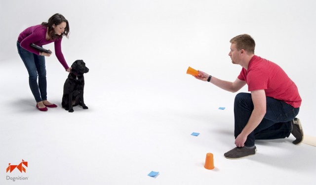 dognition_guide