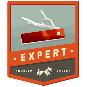 expert-badge-bb045f374b05c13a3427cd74a6844e56