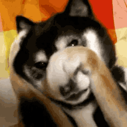 I apawlogize for letting the cat into our blog.